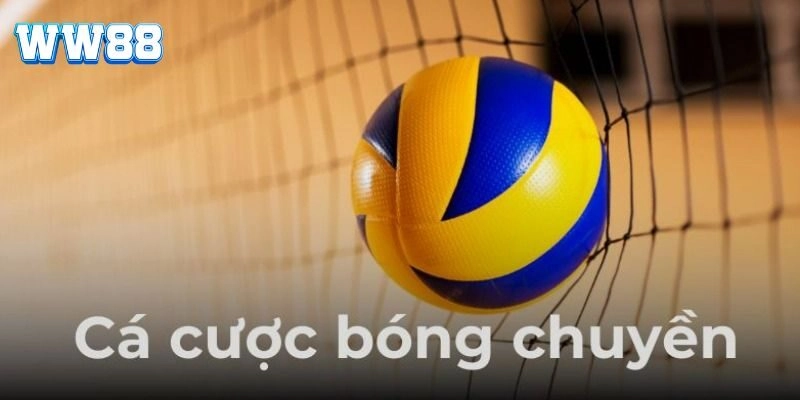 Bí quyết bắt kèo cá cược bóng chuyền luôn thắng từ cao thủ