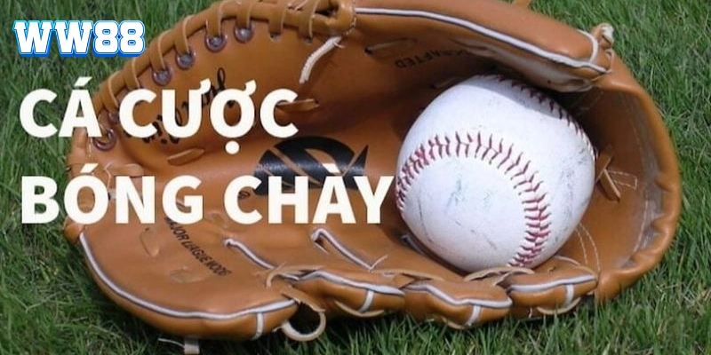 Cá Cược Bóng Chày là gì? 
