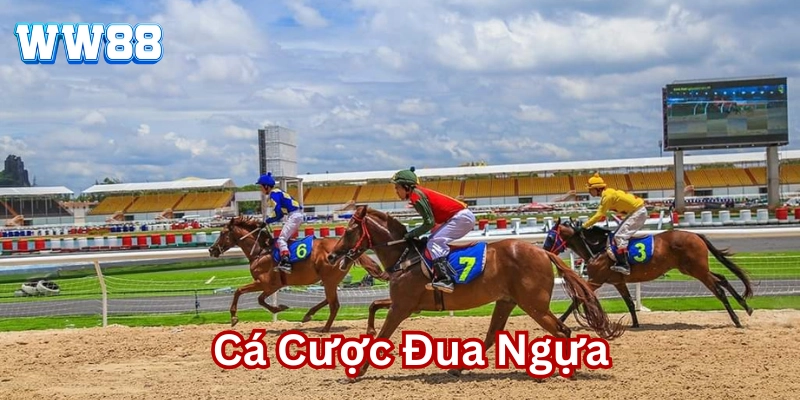 Cá Cược Đua Ngựa là gì?
