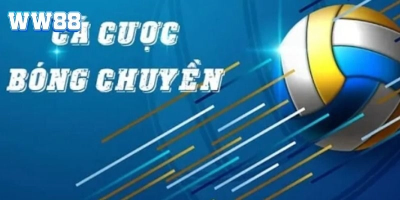 Đa dạng kèo cá cược bóng chuyền mà hội viên nên thử qua