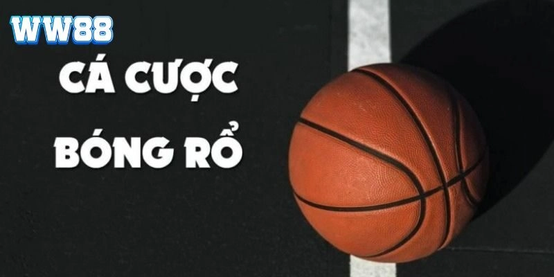Đôi nét về cá cược bóng rổ hấp dẫn tại nhà cái