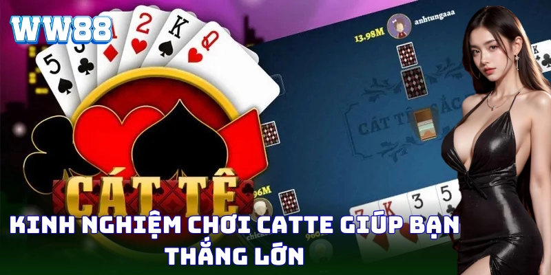 Bí kíp chinh phục ván bài Catte căng thẳng